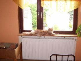 100_2259.jpg