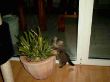 IMAGE074.jpg
